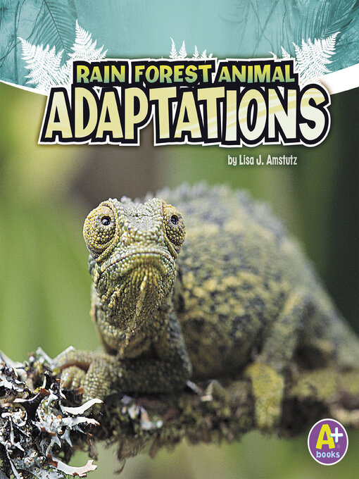 Title details for Rain Forest Animal Adaptations by Lisa J. Amstutz - Wait list